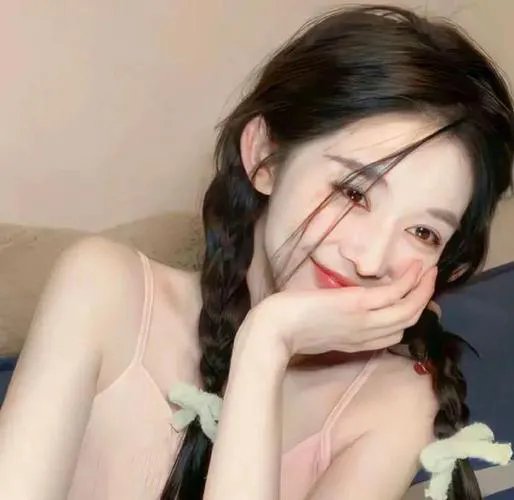 巅峰拍档第十九季