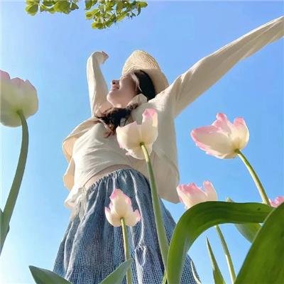 新包青天之血酬蛊